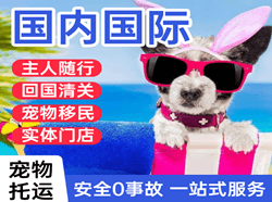 遵义新舟机场物流国际宠物托运 【国